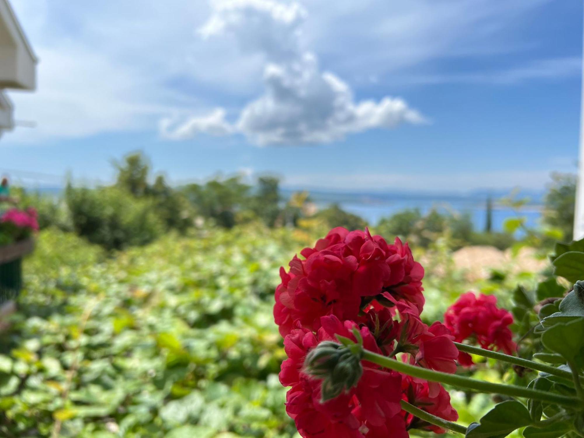 Apartman Ahmicic Crikvenica Zewnętrze zdjęcie
